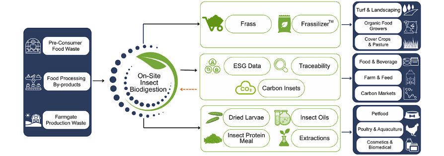 IHT On-Site Insect Biodigestion process flow — waste inputs through onsite biodigestion to frass, ESG data, and insect protein outputs