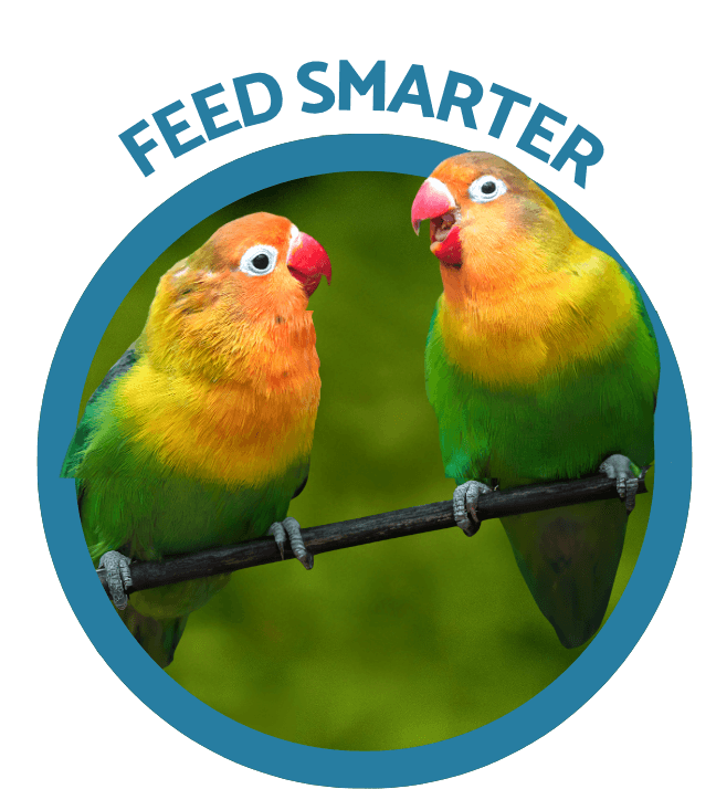 Tropical birds — Bugs4Feed™ SuperGrub nutrition
