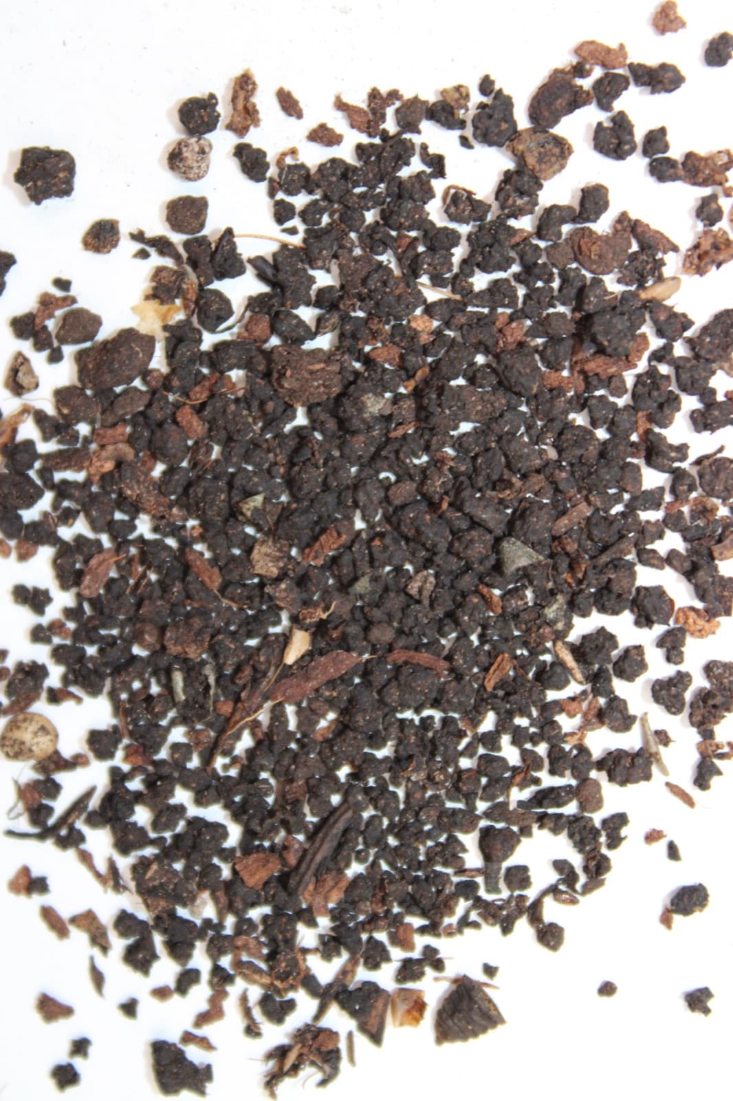 Frassilizer™ frass — granular organic soil amendment